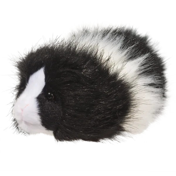 Douglas Angora Guinea Pig 8"